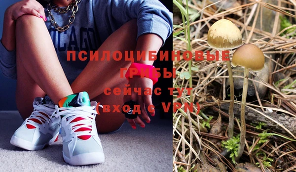 тгк Баксан